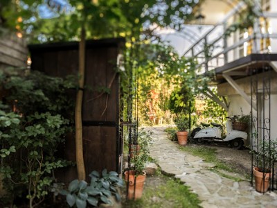 Galeria - zdjęcie nr 7